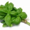 Albahaca (Libra)