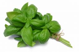 Albahaca (Libra)