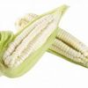 Elote (Unidad)