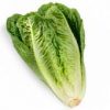 Lechuga Romana (Unidad)