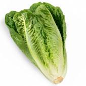 Lechuga Romana (Unidad)