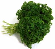 Perejil (Moño)