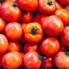 Tomate (Docena)