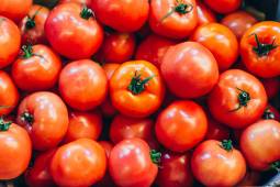 Tomate (Docena)