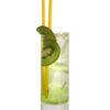 Iguana Breeze
