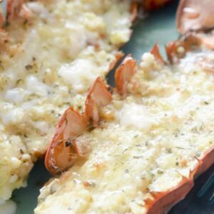 Langosta en Salsa Blanca