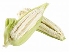 Elote (Unidad)